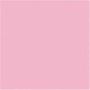 Meet your Posher, Bridget